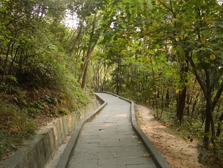 黃旗山城市公園