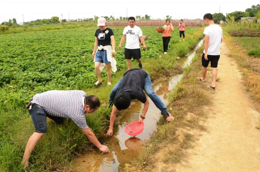 銘森農(nóng)家樂(lè)歡樂(lè)之旅.jpg